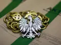 Srebrny orzeł na złotym łańcuchu, leżący na aktach. Symbolizuje prekluzja dowodowa w polskim prawie.