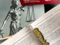 Miesiąc pozbawienia wolności ile to dni? Statua Temidy i kodeks karny przypominają o tym, że kara może być skrócona.