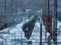 Strażnik idzie przez zaśnieżony teren otoczony drutem kolczastym. To może być najgorsze więzienie w Rosji, gdzie zimno i izolacja są częścią kary.