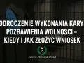 Adwokat w todze i kraty więzienne symbolizują odroczenie wykonania kary pozbawienia wolności. Informacja o tym, kiedy i jak złożyć wniosek.