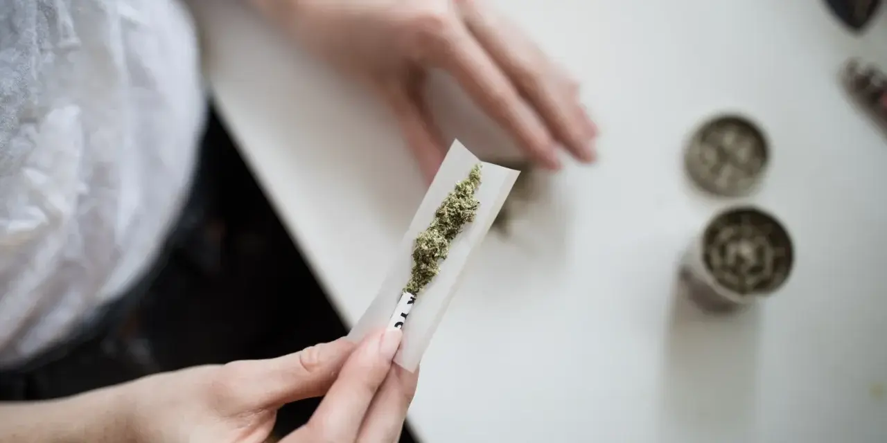 Dłonie przygotowują skręt z marihuaną. W pobliżu widać młynek, co sugeruje posiadanie narkotyków.