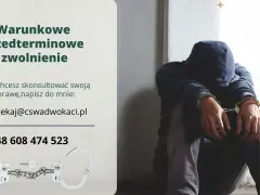 Szukasz wyjścia za dobre sprawowanie? Skontaktuj się w sprawie warunkowego przedterminowego zwolnienia. Pomoc prawna.