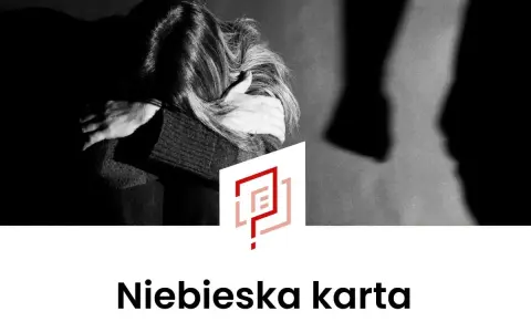 Ciemna sylwetka osoby pochylonej, w cieniu stoi druga postać. Pod spodem napis "Niebieska karta".