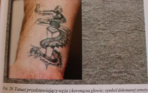 Tatuaże grypsujących: wąż z koroną na głowie, symbol zemsty.