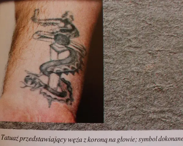 Tatuaże grypsujących: wąż z koroną na głowie, symbol zemsty.